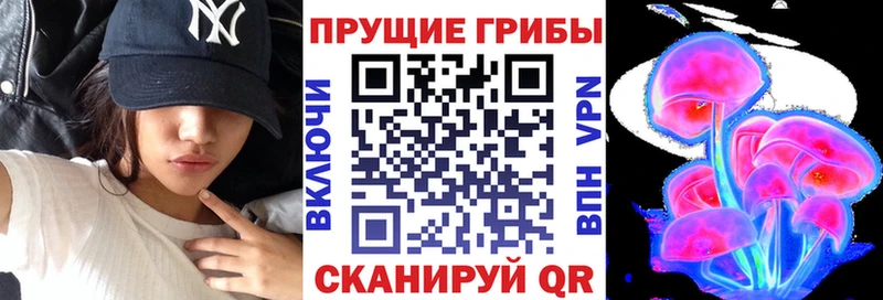 Галлюциногенные грибы GOLDEN TEACHER  где купить наркотик  Гвардейск 